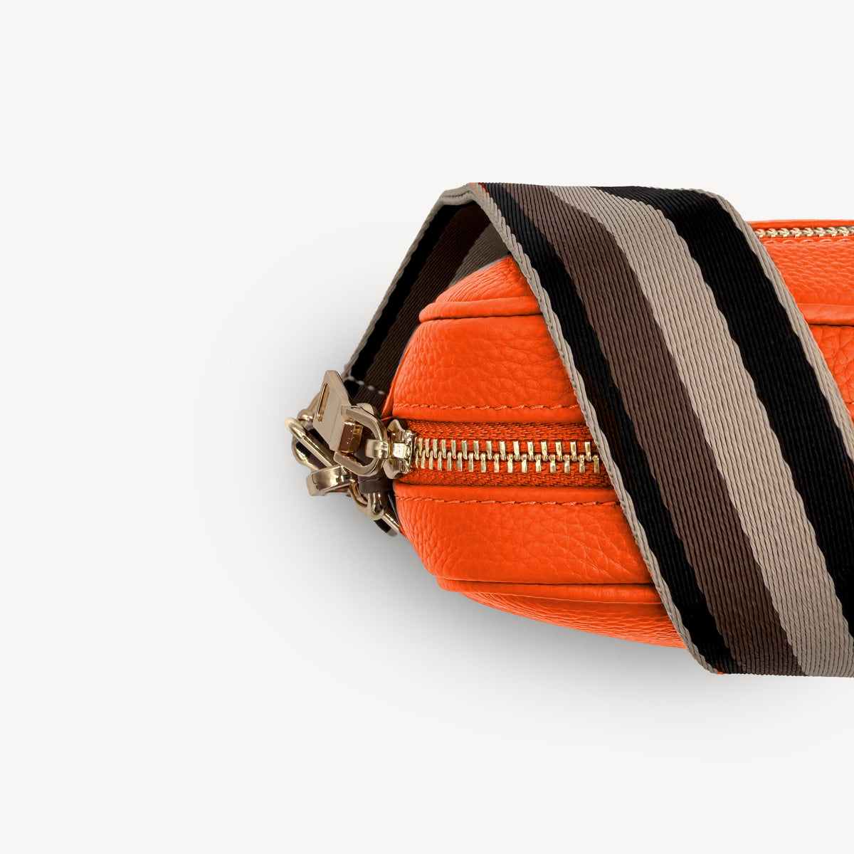 Brown Assortment Stripe Strap